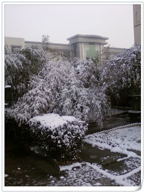 【九正通明】2011年的第一场雪